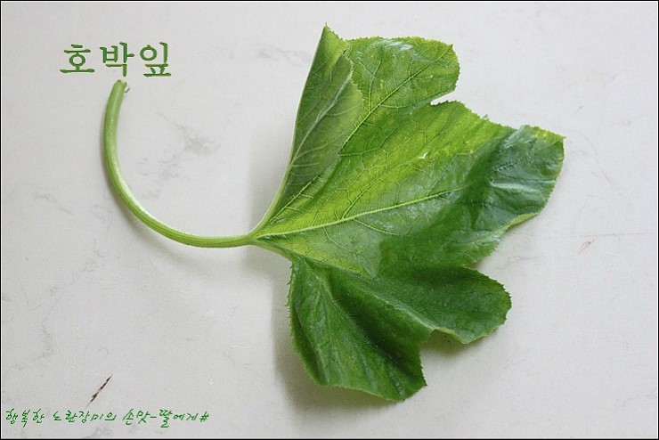 호박꽃식품 이미지
