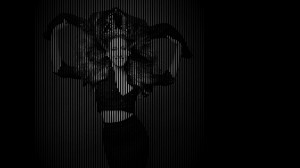 Image_Video_Sarah-Jessica-Parker