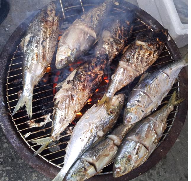 연탄구이 전어