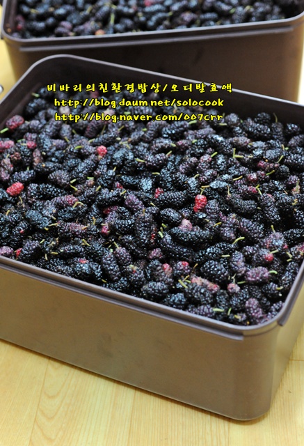 오디 이미지