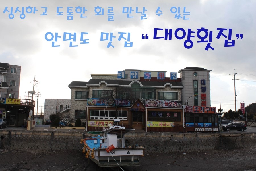 안면도 횟집/도톰한 회를 맛 본 안면도 대양횟집/안면도 맛집/이지데이 맛집 마니아
