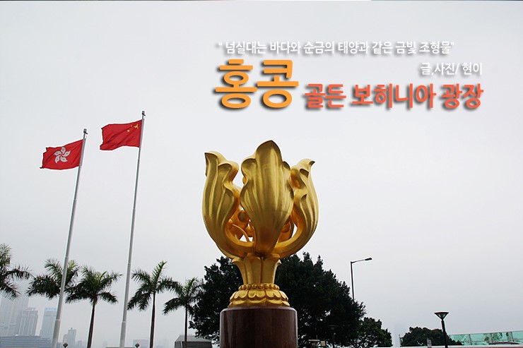 [홍콩 볼거리/홍콩 명소] 넘실대는 바다와 순금의 태양과 같은 금빛 조형물 ... 홍콩 골든 보히니아 광장 [Golden Bauhinia Square]