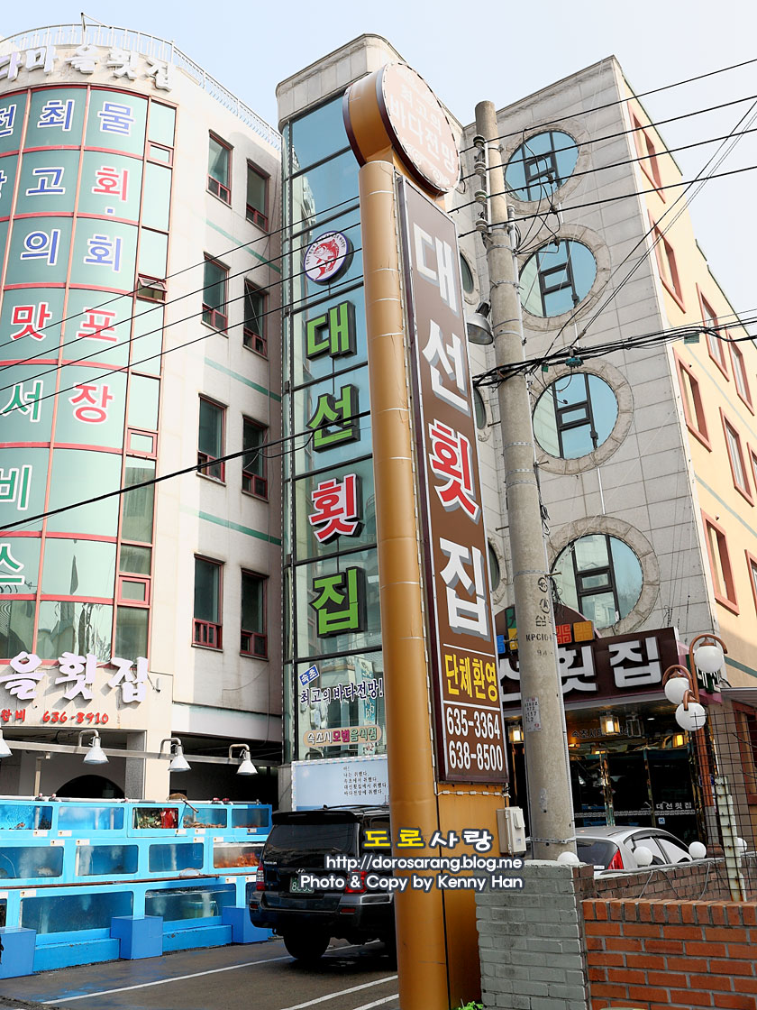속초 횟집ㅣ동명항 대선횟집 추천 by 도로사랑