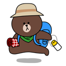 brown_and_cony-14