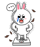 cony_special-23