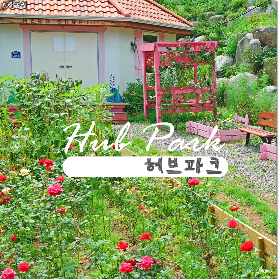 가볼만한곳 추천 ! 강화도 허브파크 다녀왔어요 :)
