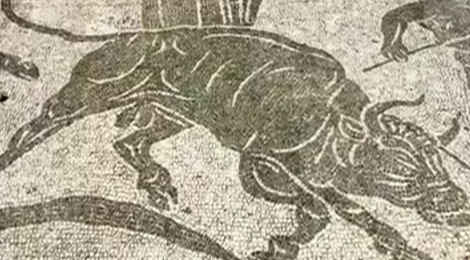  õ  Ŀ ִ.    ǰ߰  д ǰ ϰ ¼ ִ. /EBS  