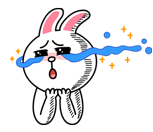 brown_and_cony-48