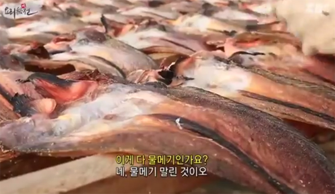 õޱ, ǥؾ 'ġ'. õޱⰡ KBS1 'ѱ ' Ұ  ް ִ. õޱ  Ī   ִ. / EBS '丮'  ȭ ĸó