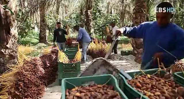 ���߾���, ȿ�� ����. ���߾��ڰ� 13�� �α� �˻�� ������ ��Ƽ����� ������ �ް� �ִ�. ���߾����� �پ��� ȿ�ɵ� ������ ���� �ִ�. / EBS '�����׸�����' ��� ȭ�� ĸó