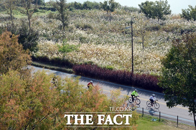 'ÇѰ¼ ´ã¹è ¸øÇÉ´Ù!' ¼¿ï½Ã´Â 3ÀÏ ÇѰ°ø¿ø Àüü¸¦ ±Ý¿¬±¸¿ªÀ¸·Î ÁöÁ¤ÇÒ ¹æÄ§À̶ó°í ¹àÇû´Ù. /´õÆÑÆ®DB