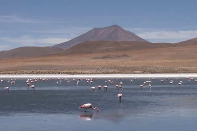  ��Ʈ�� ȣ���� ���. ��������ī���� �Ҵٰ� ħ���� ȣ������ ��� ������ �ִµ� ���� ��Ʈ�� ȣ���� ���� ���ʿ� ��ġ�� �ִ�. /��Ʃ�� ���� ĸó