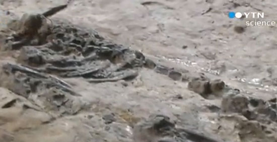  �ѹݵ� �Ŵ� ������ ȭ�� �߰�. �ѹݵ����� �Ŵ� ������ ȭ���� �߰ߵƴ�. /YTN ���ȭ�� ĸó