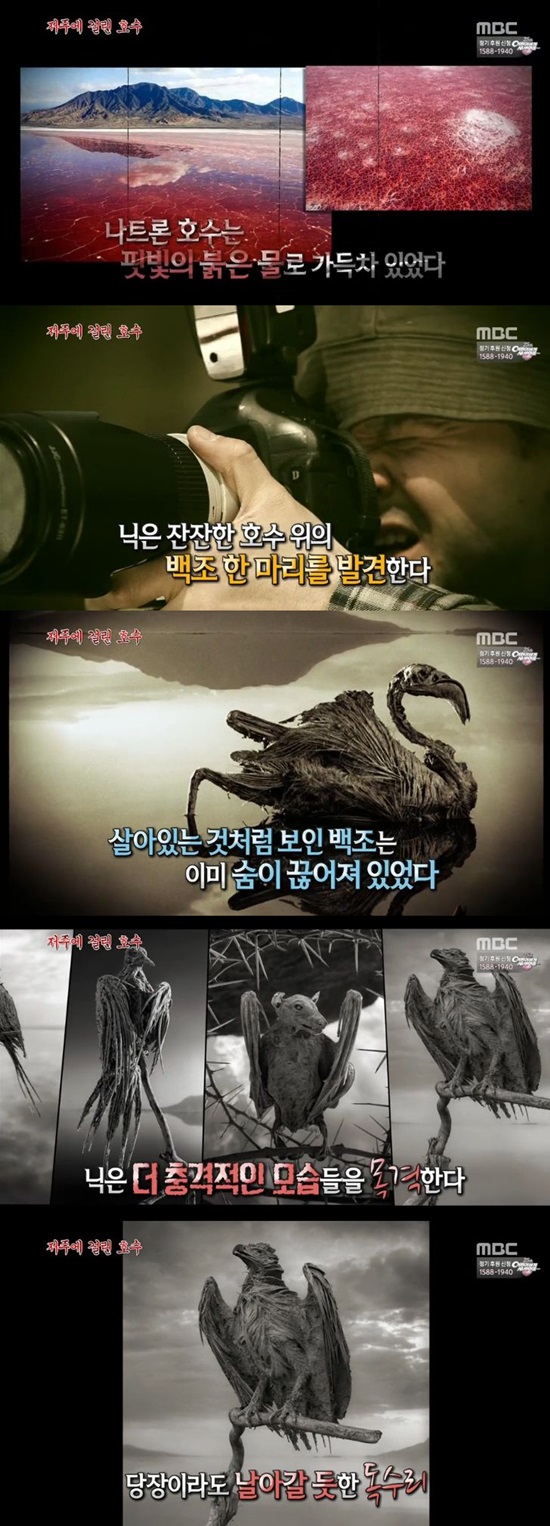 '����������' ��Ʈ�� ȣ�� ���. MBC '�ź���TV ����������'���� ��Ʈ�� ȣ���� ��ȭ�� �׷�����. / '����������' ��� ĸó