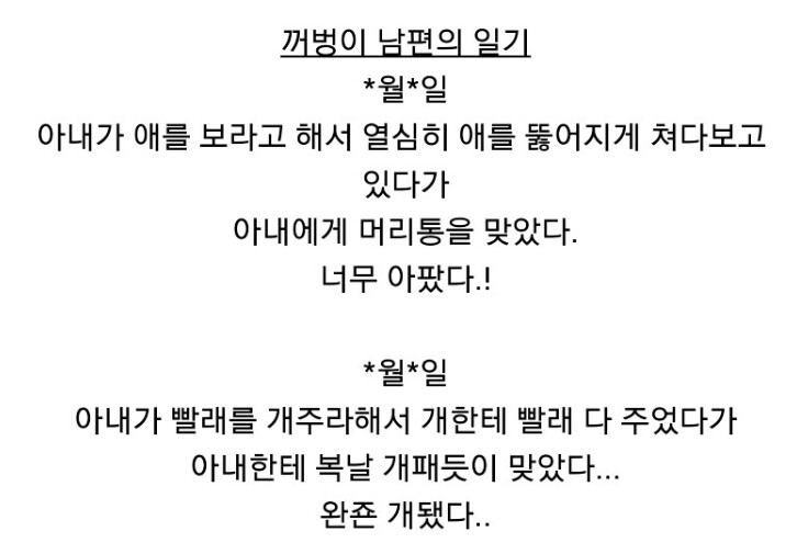 꺼벙이 남편의 일기
