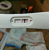 원포패스터 시약선이요 원포패스터 시약선이요