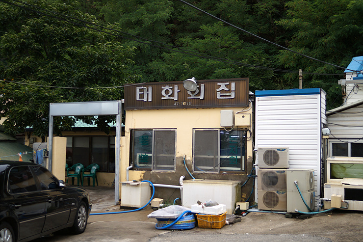 [포항물회맛집] 태화회식당 - 현지인 추천 포항 전통식 물회