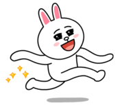 brown_and_cony-80
