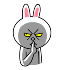brown_and_cony-69