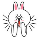 brown_and_cony-70