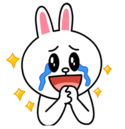 brown_and_cony-75
