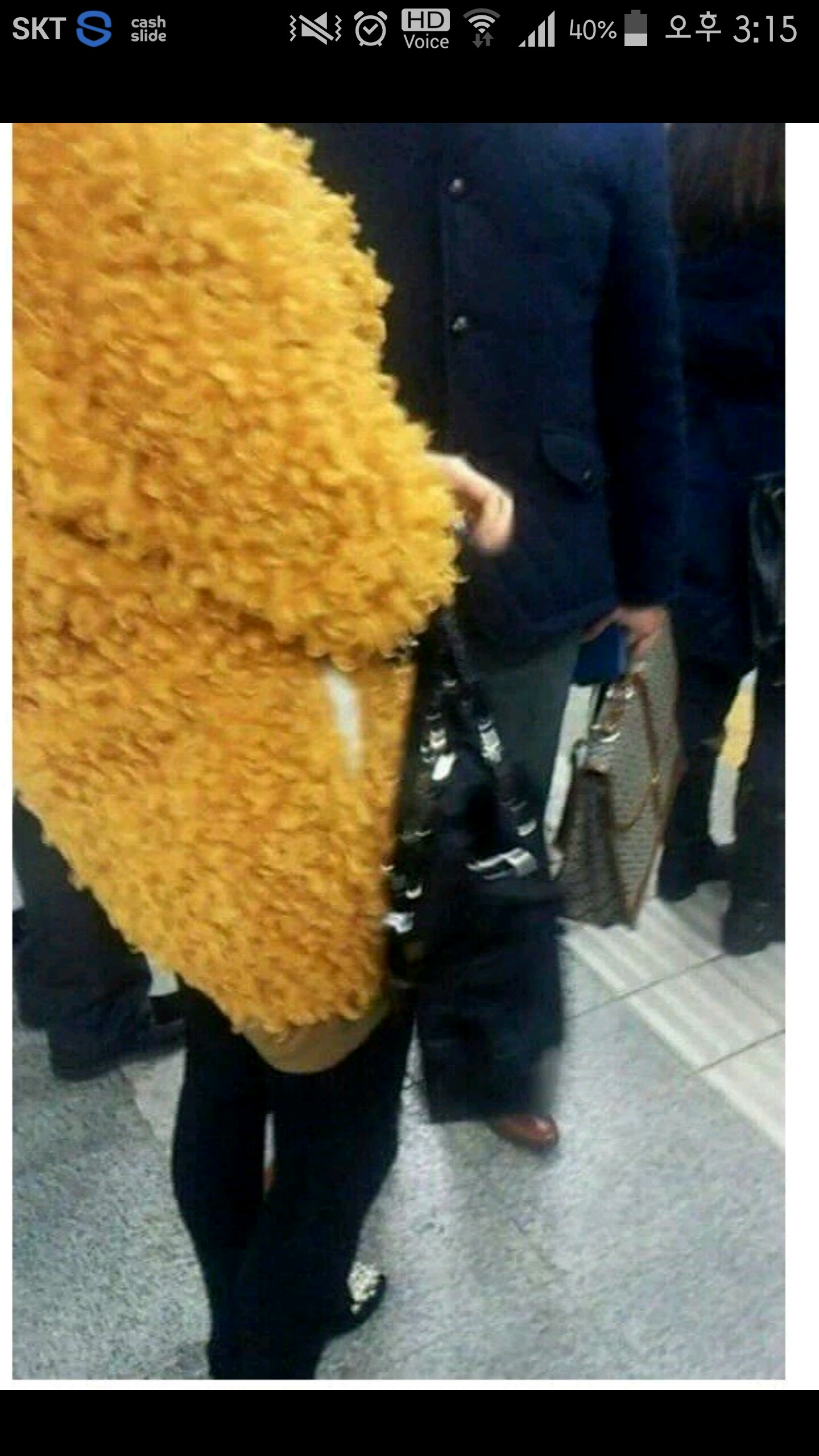 후라이드치킨