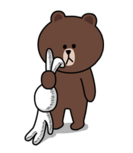 brown_and_cony-9