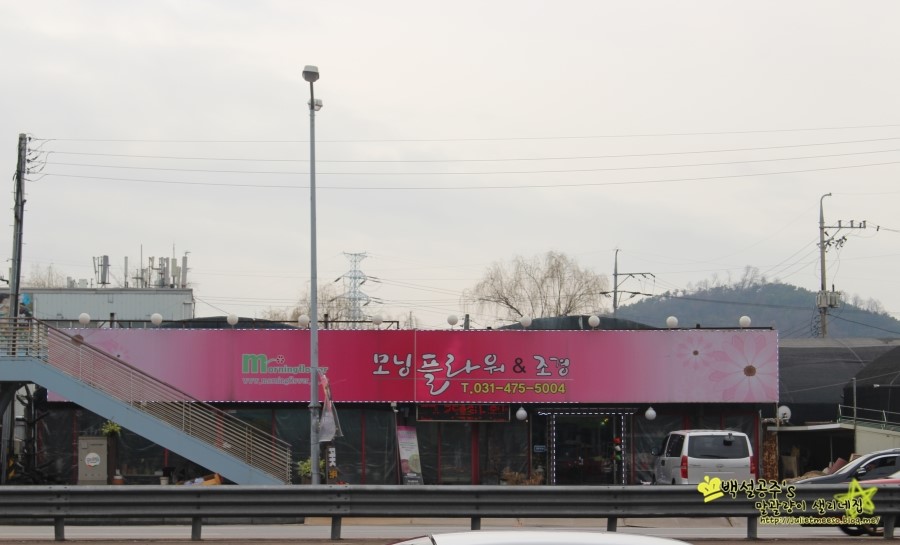 반월시화공단꽃집,안산꽃배달 모닝플라워에서 꽃바구니 받다