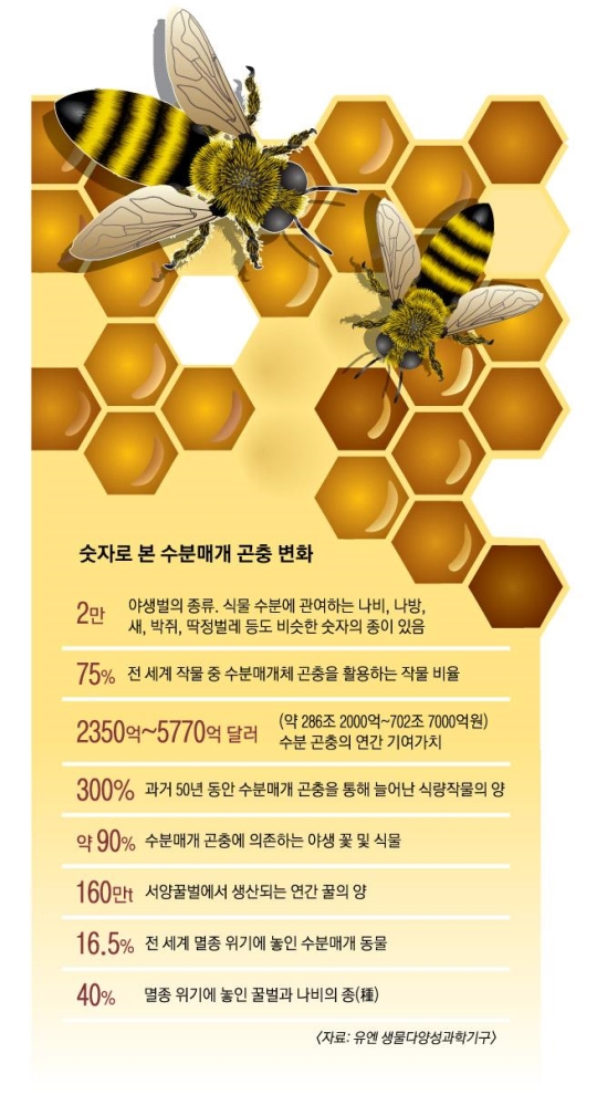 작물 30% 키워 몸값 700조원… 내가 사라지면 인류도 사라져요