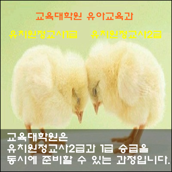 유아교육대학원에서 유치원정교사 자격증 준비가 정말 가능할까?