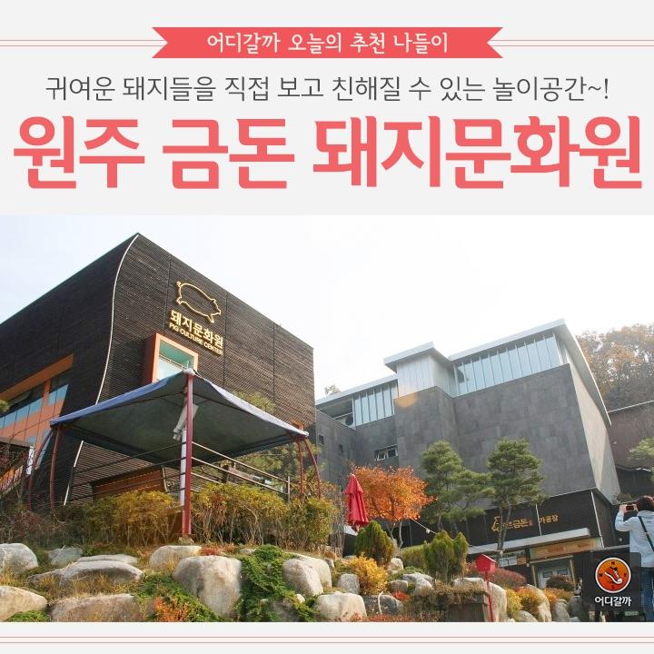 [어디갈까 추천나들이] 원주 금돈 돼지문화원~!