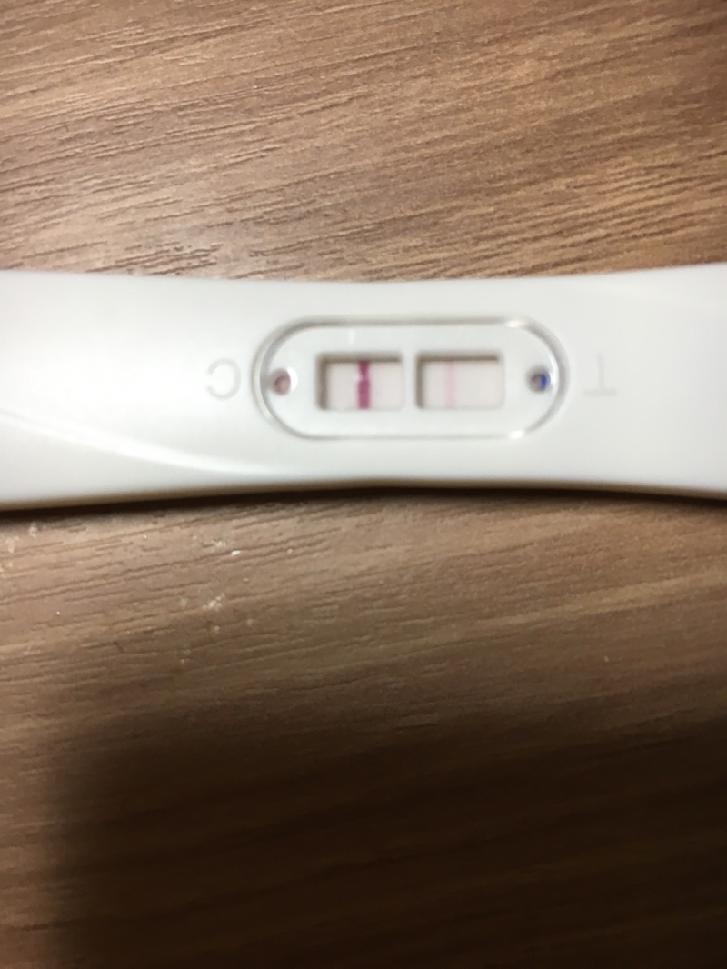 원포패스터 시약선인지 확인부탁드려요 ~~ㅜㅜ 원포패스터 시약선인지 확인부탁드려요 ~~ㅜㅜ
