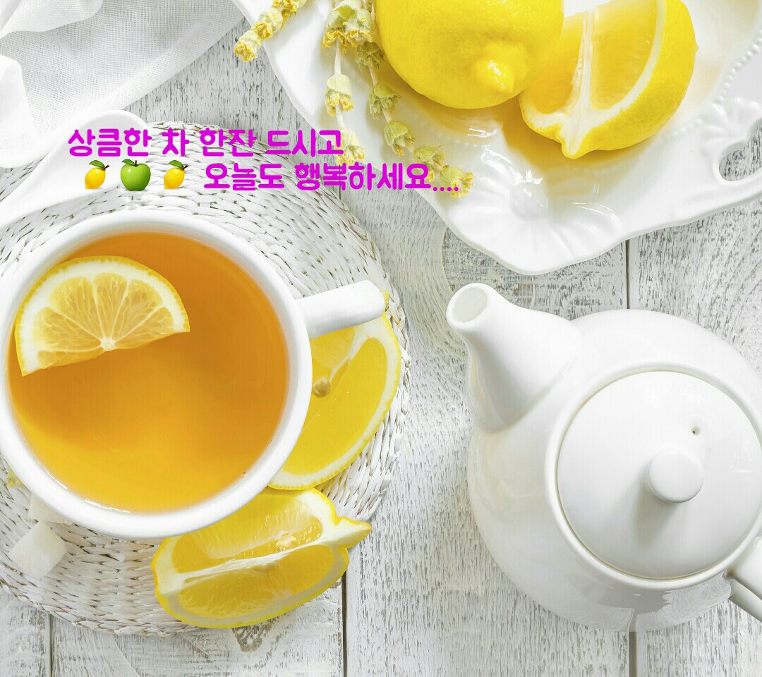 초심 이미지