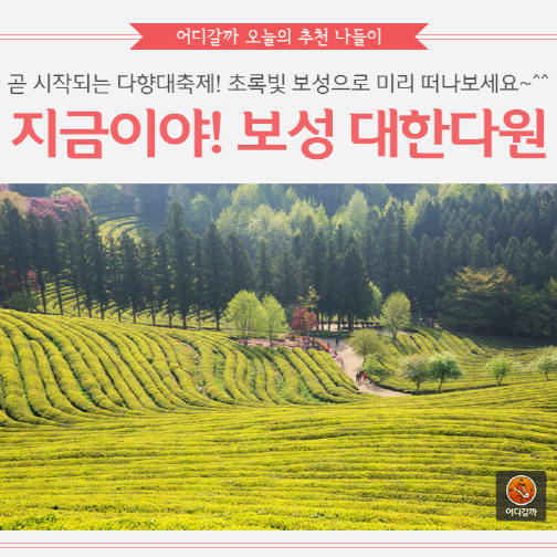 [어디갈까 추천나들이] 지금가야할 곳! 보성 대한다원