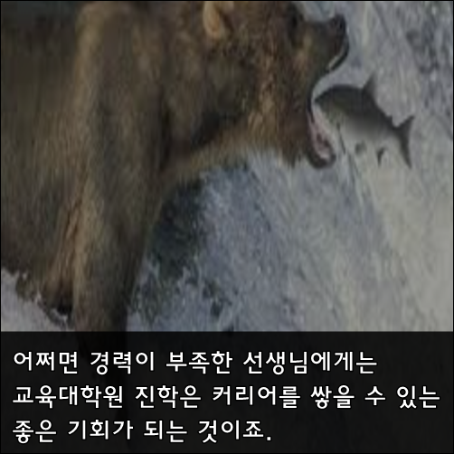 유치원정교사2급소지자는 교육대학원이 필수인가?