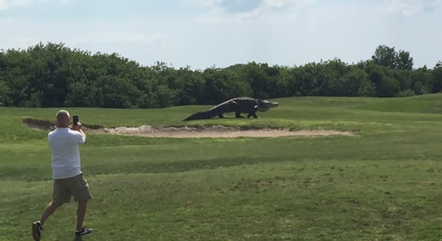 ʴ Ǿ  ڽ  Ȱ ִ   ̿밴 ޴ȭ Կϰ ִ. /Ʃ 