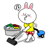 conys_happy_work_life-27