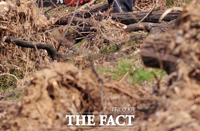 11 ⵵ ΰ  (10)  40   ڼ߰,   װ ӹ  ַ   ˰ߴ./ƮDB(  )