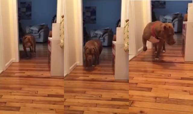 ֱ  ä Ʃ꿡  ̸  ʱ  ġ  ȴ ͺ     ִ. /Ʃ  ĸó