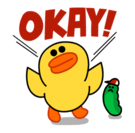 sally_special-4 src
