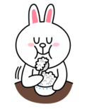 brown_and_cony-66