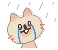 ƼĿ ̹
