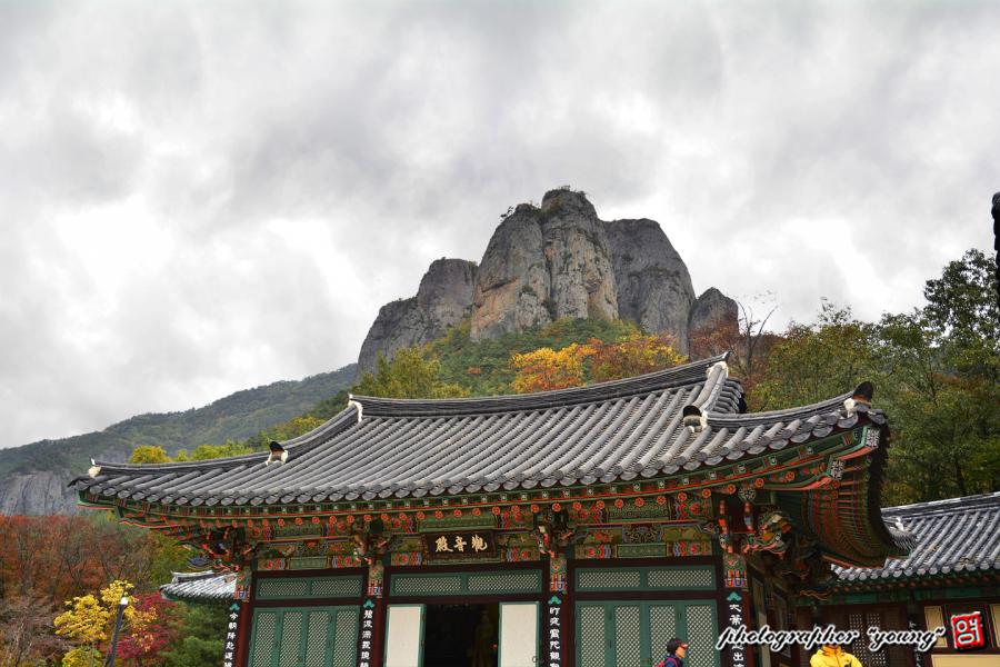 ○ 주왕산 사과밭 ♠