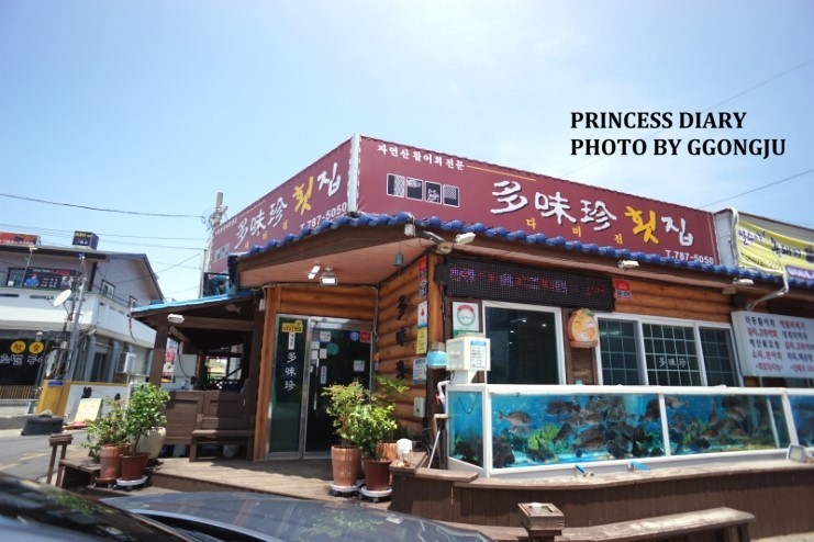 표선 횟집 다미진에서 다금바리~랍스터~통갈치회까지~~~♬