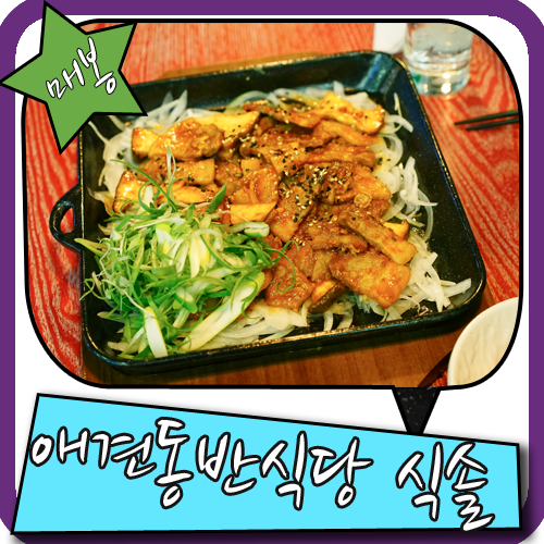 강남 애견동반/서울애견동반식당 식솔에서 만나요