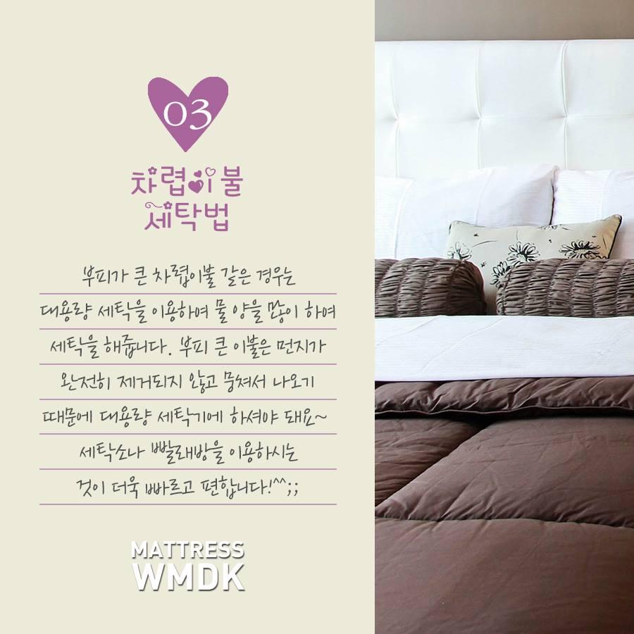 마니아 컬럼(리빙) - 여성포털이지데이