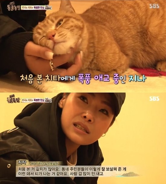 19 SBS ''  ġŸ   ù  ĸ . /SBS '' ĸó