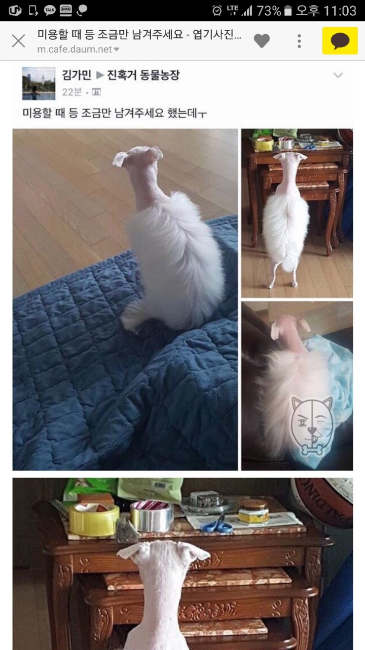 묭실언니가 초보 인가 ㅠㅠ