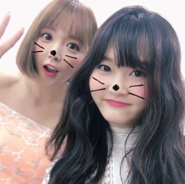  ȫ ģ .   ָ ް ִ  ư ȫ ī   ִ. / SNS