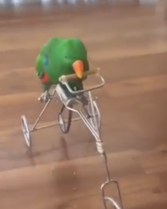  Ÿ ޹. ¶ 󿡼 ' Ÿ ޹'  ū α⸦  ִ. /¶ Ŀ´Ƽ